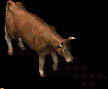 01555.PNG