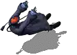 00997.webp