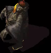02380.webp