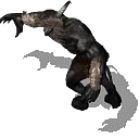 02753.webp