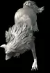 00969.webp