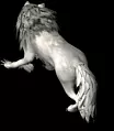 00975.webp