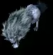 01331.webp