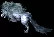 01335.webp