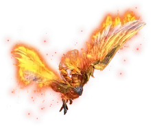 01835.webp