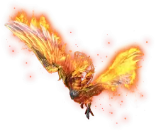 01855.webp