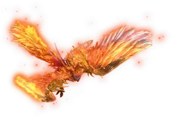 01914.webp
