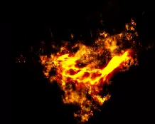01673.webp