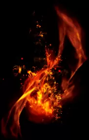 01572.webp