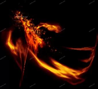 01591.webp