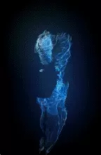00368.webp
