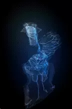 00379.webp