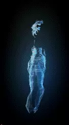 00464.webp