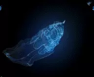 00715.webp