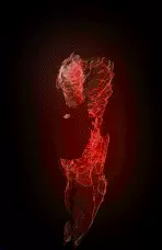 01120.webp