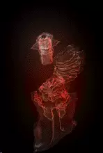 01129.webp