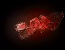 01192.webp