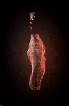 01220.webp
