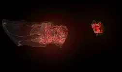 01234.webp