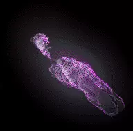 02086.webp