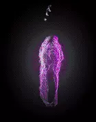 02089.webp