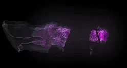 02103.webp