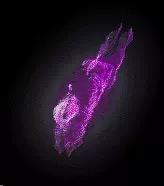 02179.webp
