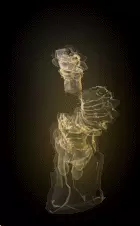 02642.webp