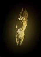 02688.webp