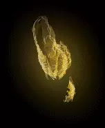 02753.webp