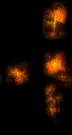 02843.webp