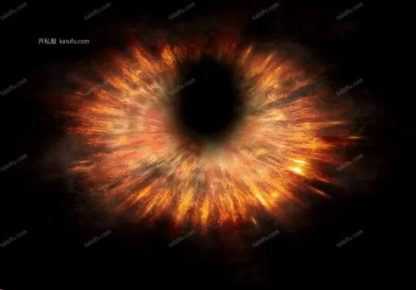 04882.webp