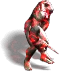 00031.webp