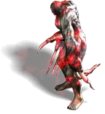 00262.webp