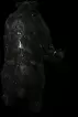 00008.webp