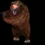 00646.webp