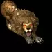 01233.webp
