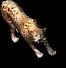 01822.webp