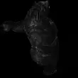 00014.webp