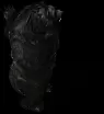 00023.webp