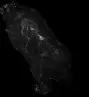 00078.webp
