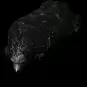 00135.webp