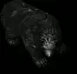 00191.webp
