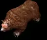 01052.webp