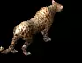 01800.webp
