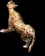 01863.webp