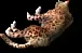 02026.webp