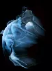 00501.webp