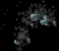 03211.PNG