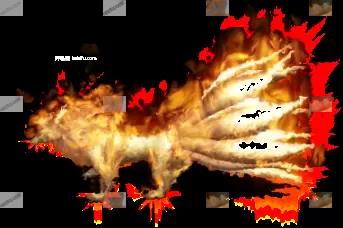 01863.webp
